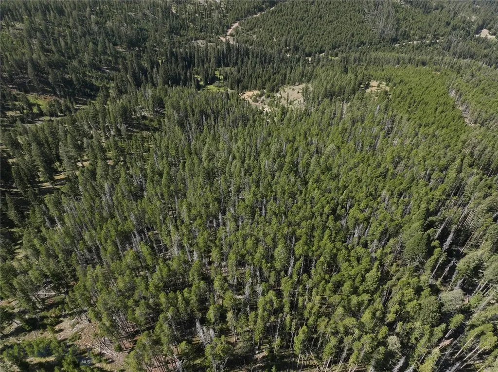 Nhn Bell Trail Philipsburg MT 59858