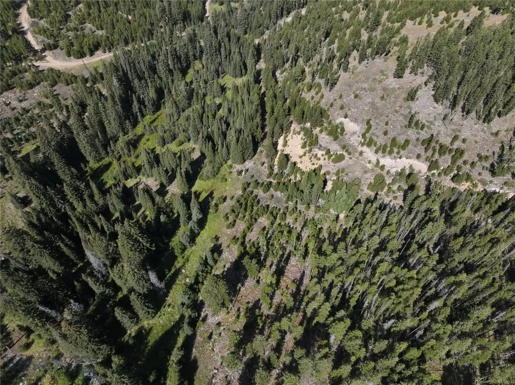 Nhn Bell Trail Philipsburg MT 59858