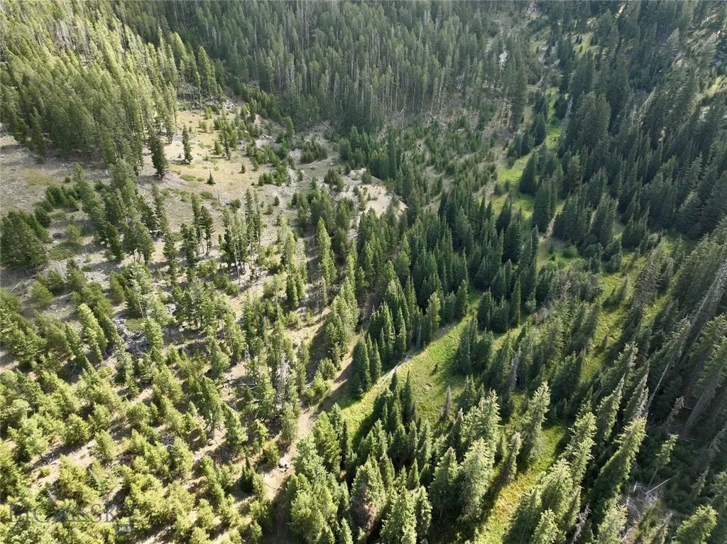 Nhn Bell Trail Philipsburg MT 59858