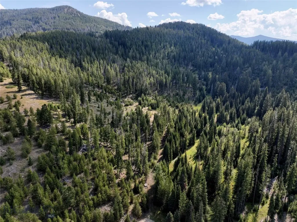 Nhn Bell Trail Philipsburg MT 59858