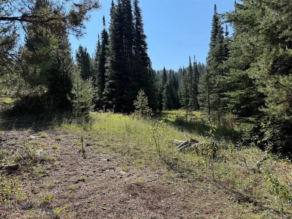 Nhn Bell Trail Philipsburg MT 59858