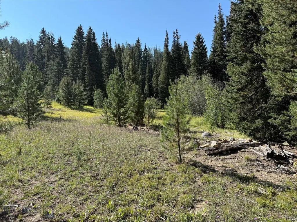 Nhn Bell Trail Philipsburg MT 59858