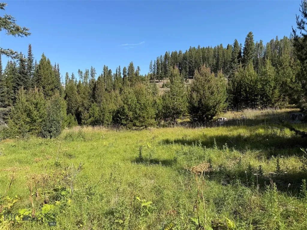 Nhn Bell Trail Philipsburg MT 59858