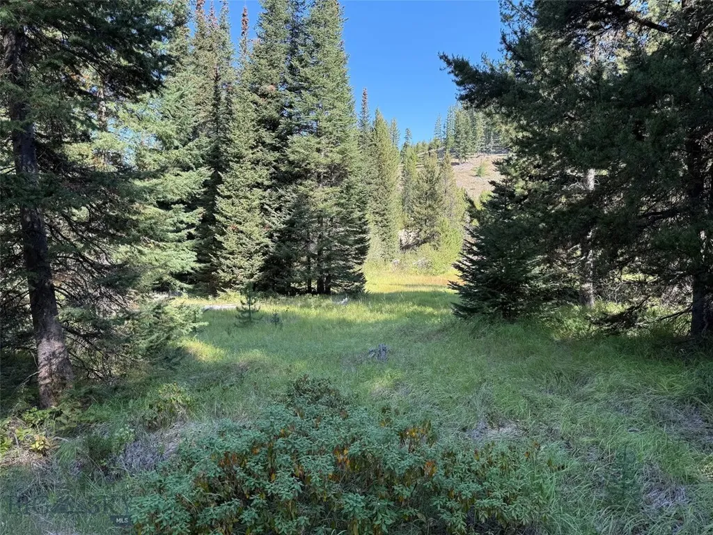 Nhn Bell Trail Philipsburg MT 59858