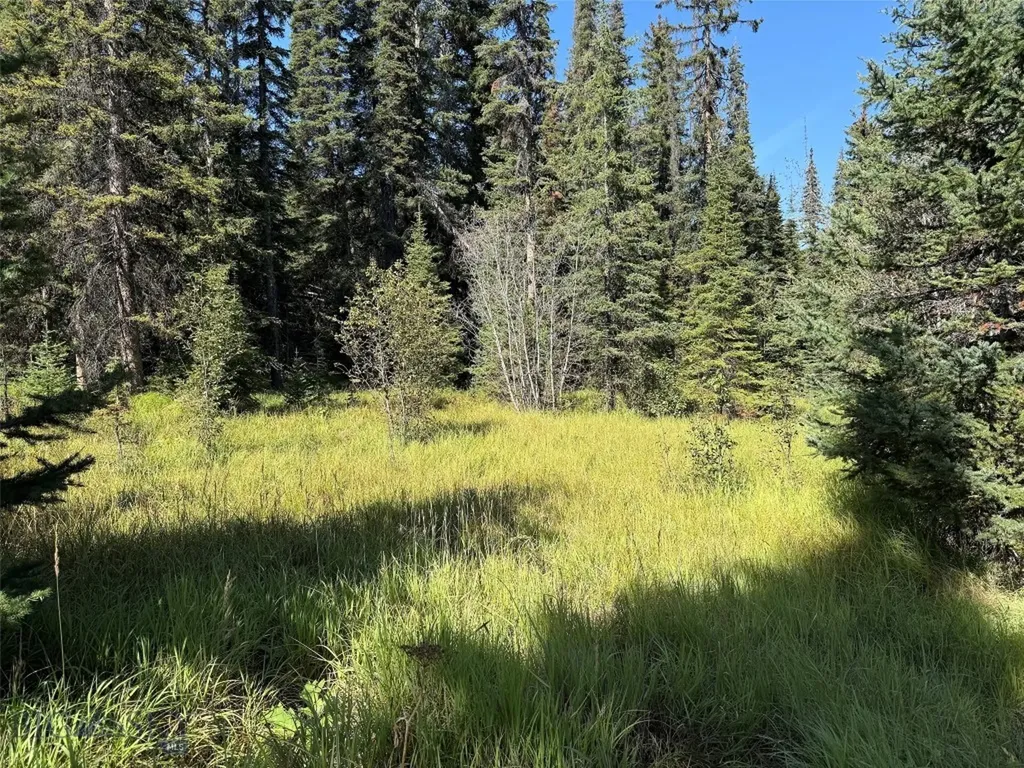 Nhn Bell Trail Philipsburg MT 59858