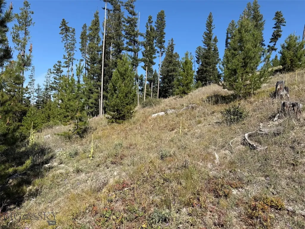 Nhn Bell Trail Philipsburg MT 59858