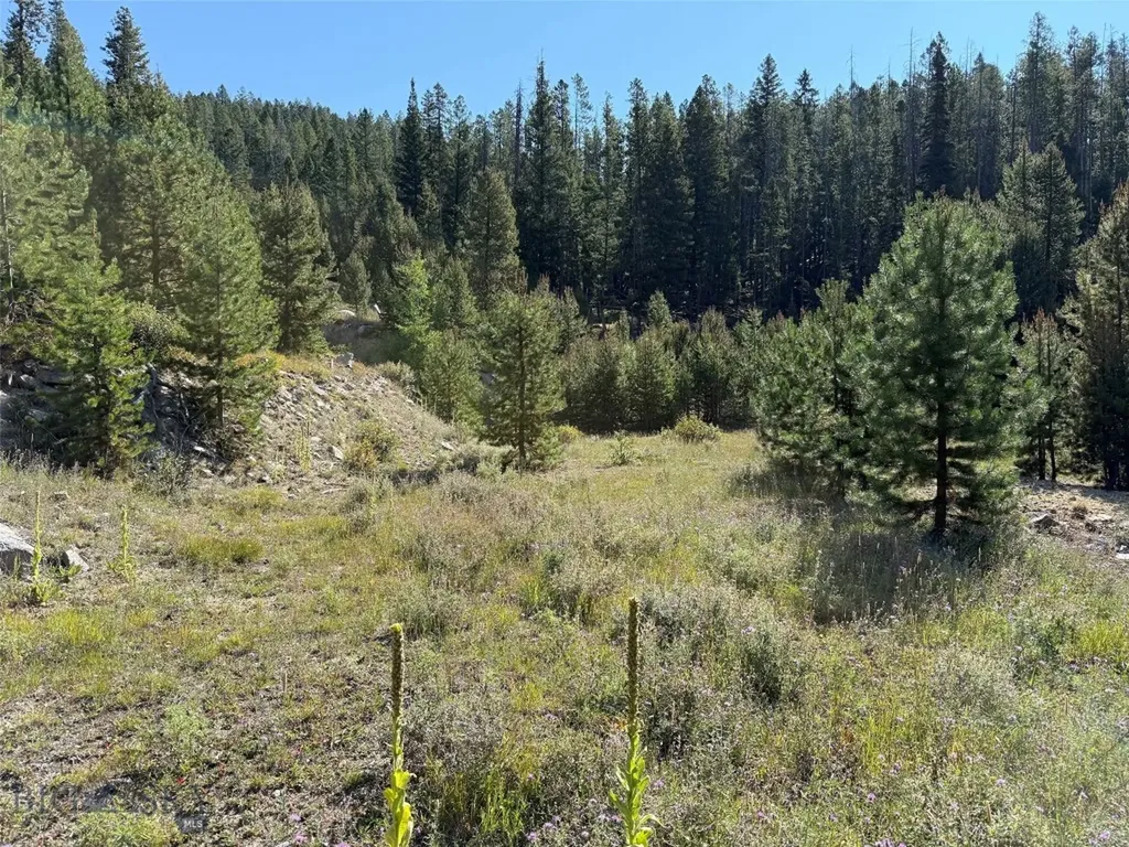 Nhn Bell Trail Philipsburg MT 59858