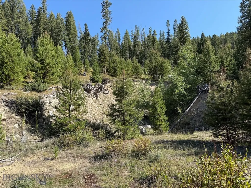 Nhn Bell Trail Philipsburg MT 59858