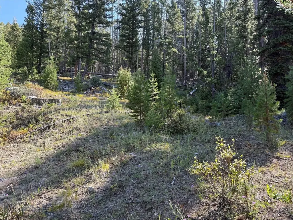 Nhn Bell Trail Philipsburg MT 59858