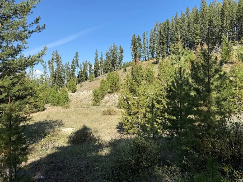 Nhn Bell Trail Philipsburg MT 59858