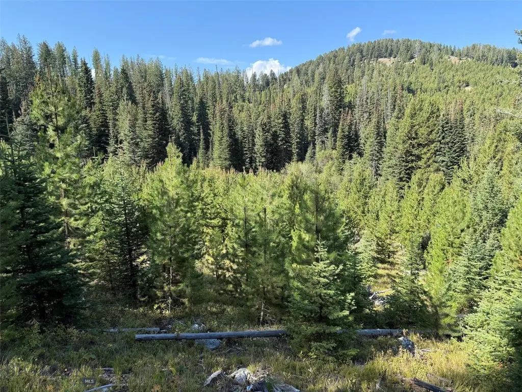Nhn Bell Trail Philipsburg MT 59858