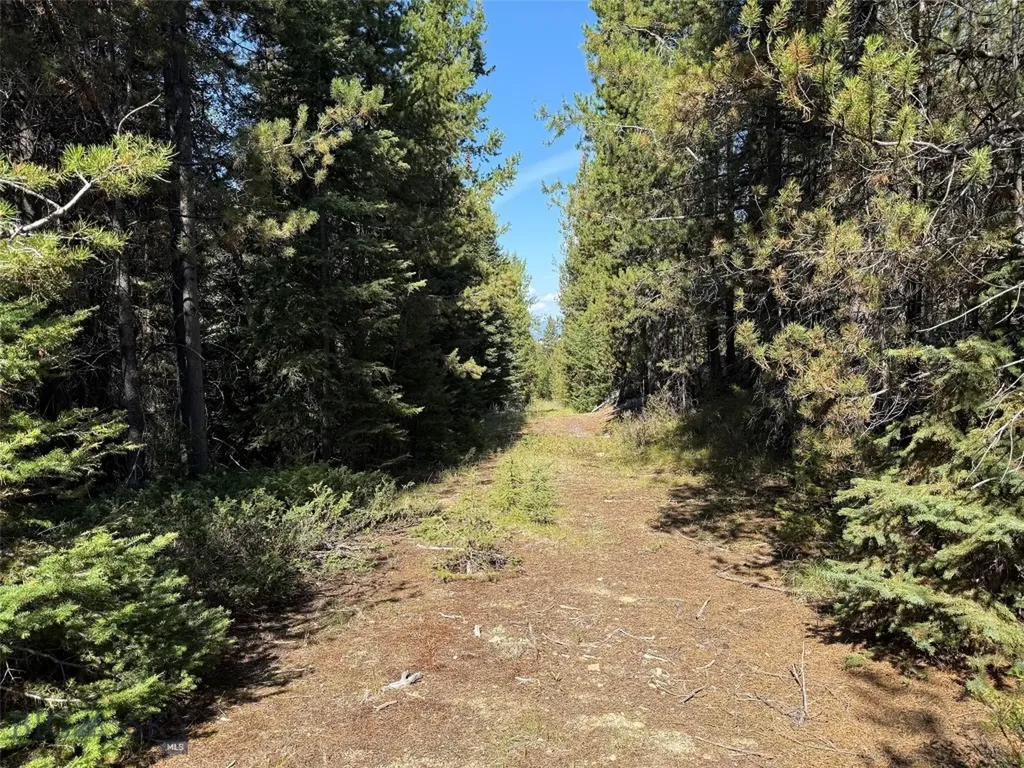 Nhn Bell Trail Philipsburg MT 59858