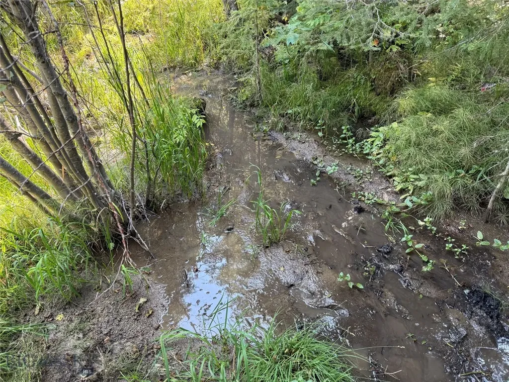 Nhn Bell Trail Philipsburg MT 59858