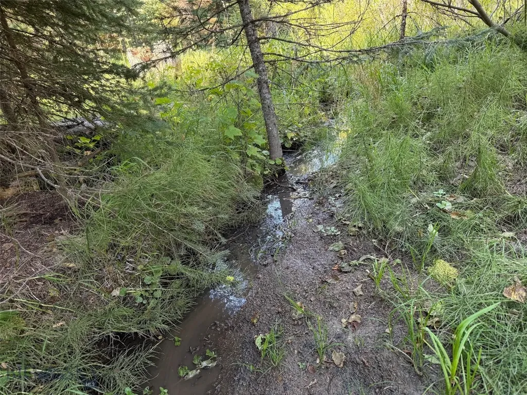 Nhn Bell Trail Philipsburg MT 59858