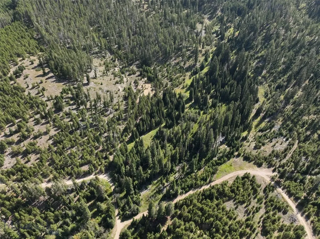 Nhn Bell Trail Philipsburg MT 59858