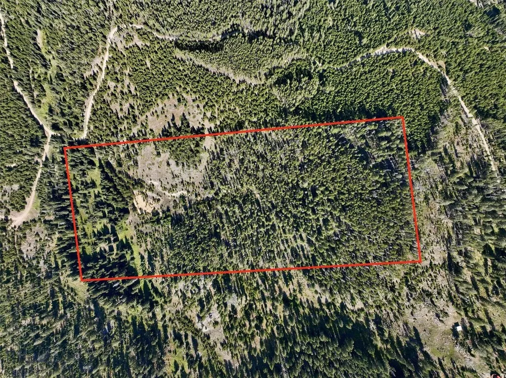Nhn Bell Trail Philipsburg MT 59858
