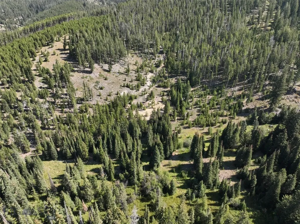 Nhn Bell Trail Philipsburg MT 59858