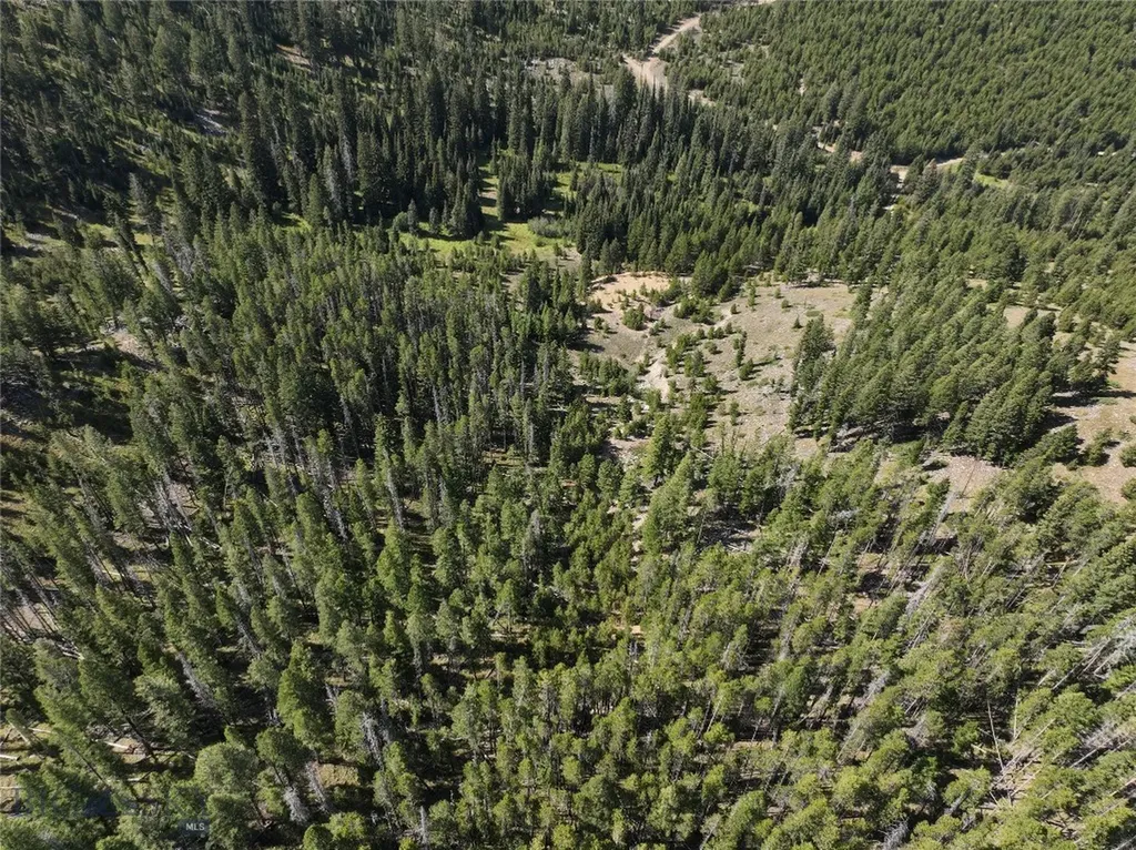 Nhn Bell Trail Philipsburg MT 59858