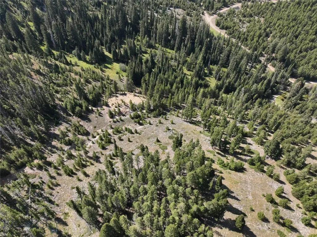 Nhn Bell Trail Philipsburg MT 59858