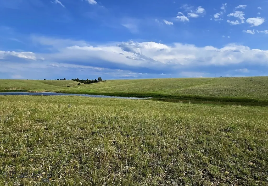 Tbd Basin Acres Road Shawmut MT 59078