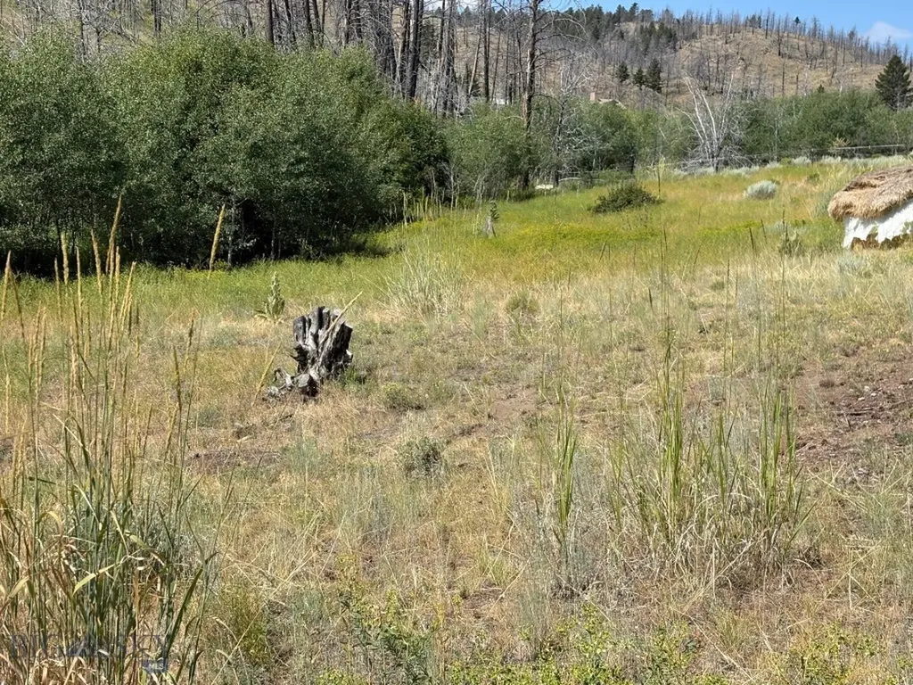 180 Lower Rader Creek Road Whitehall MT 59759