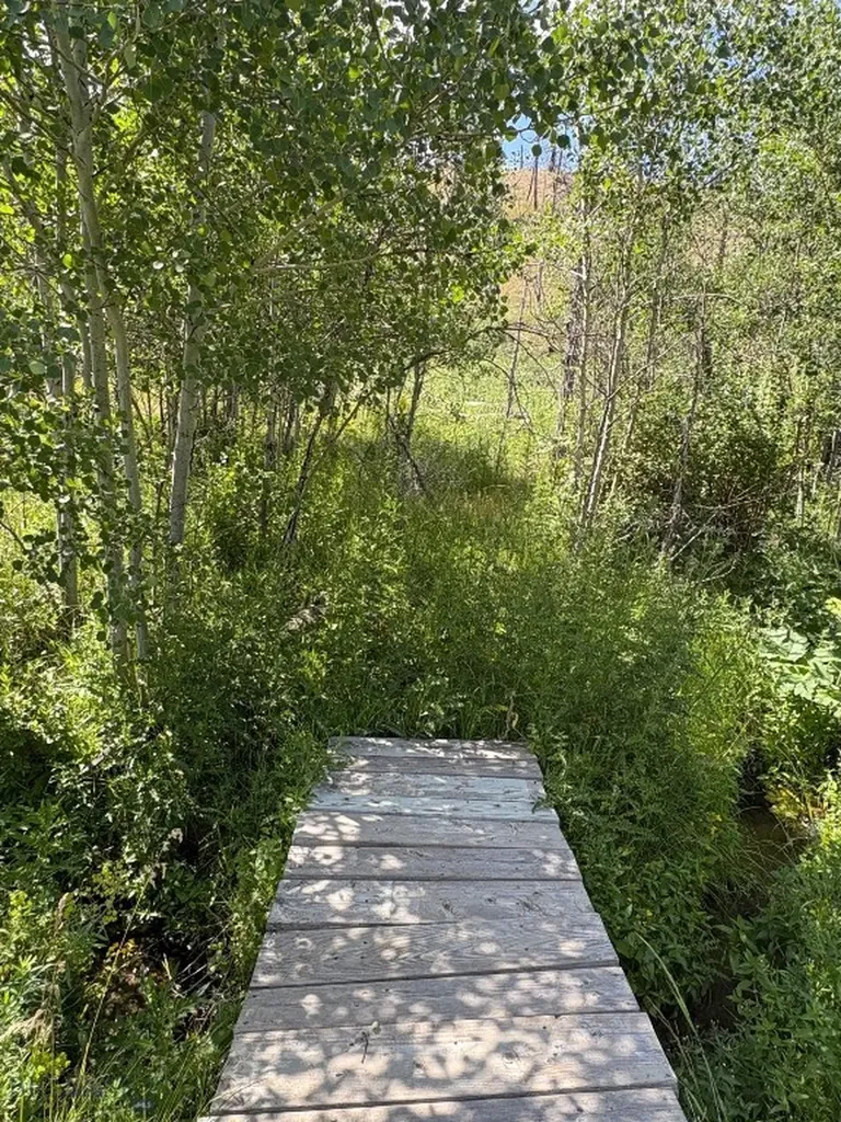 180 Lower Rader Creek Road Whitehall MT 59759