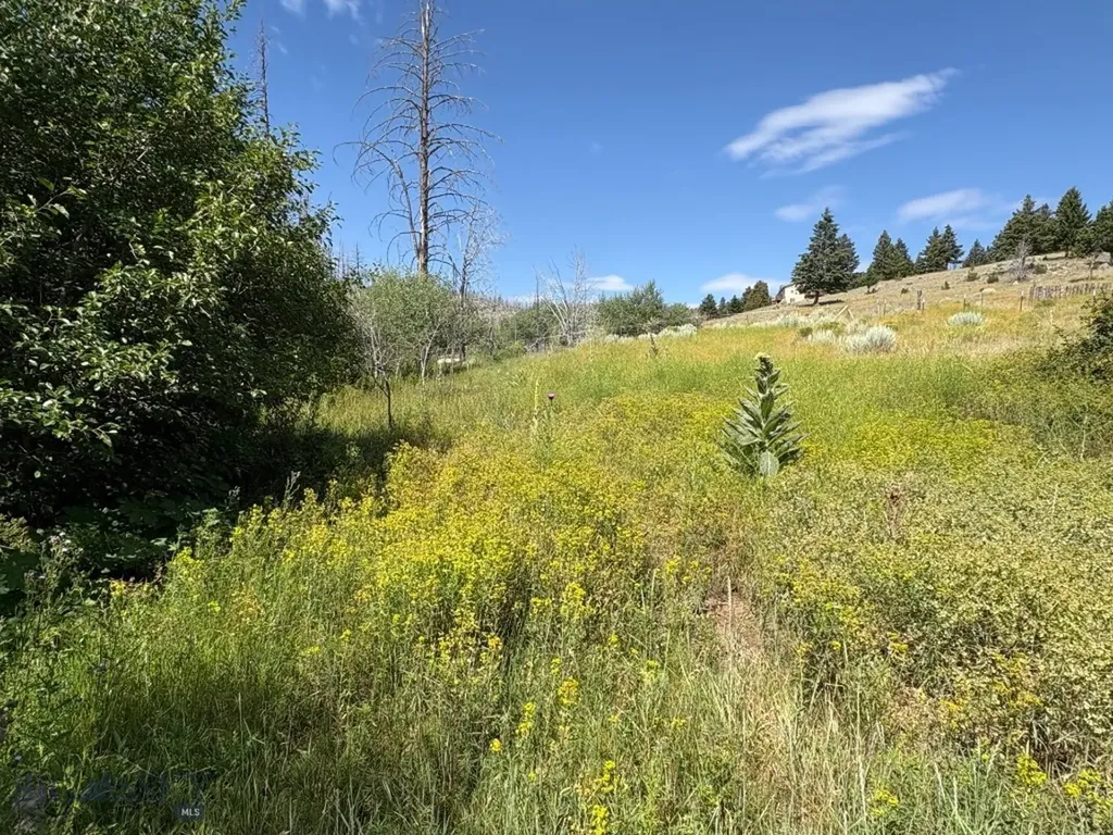 180 Lower Rader Creek Road Whitehall MT 59759