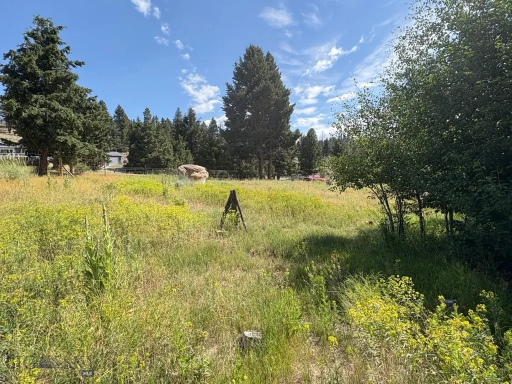 180 Lower Rader Creek Road Whitehall MT 59759