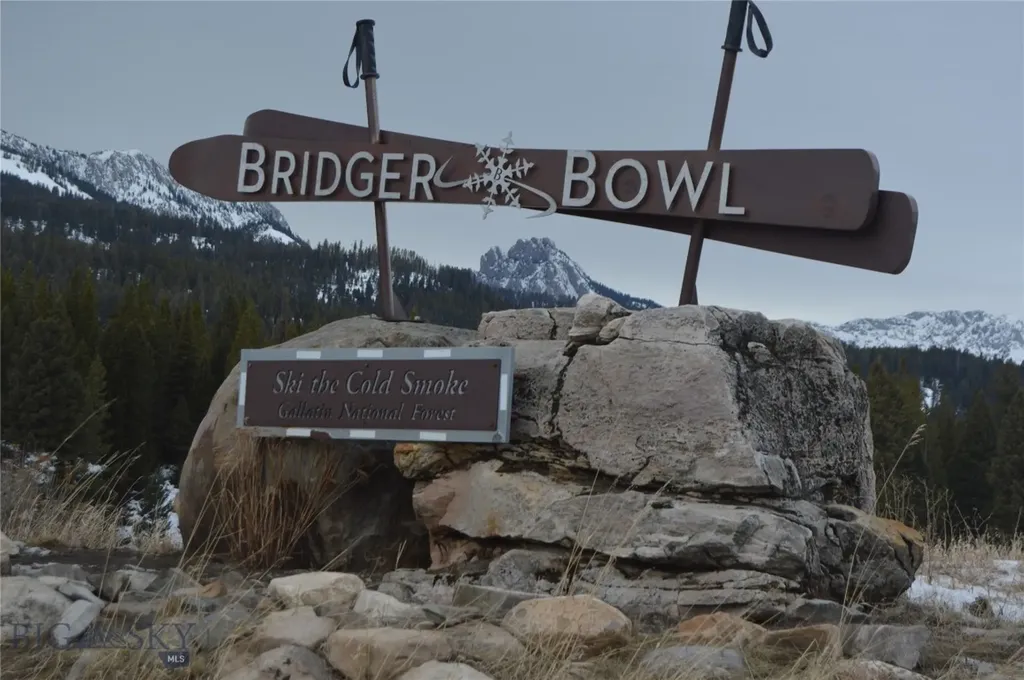 215 Wedeln Drive Bozeman MT 59715