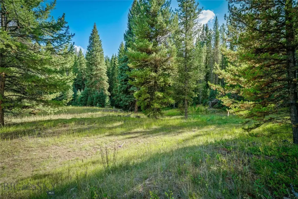 Nhn Skywood Road Big Sky MT 59716