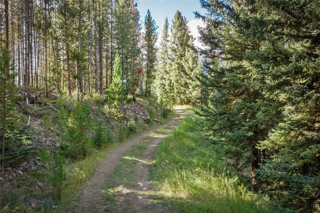 Nhn Skywood Road Big Sky MT 59716