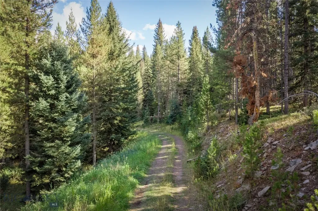 Nhn Skywood Road Big Sky MT 59716
