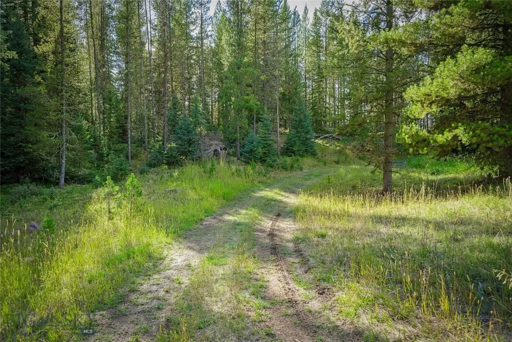 Nhn Skywood Road Big Sky MT 59716
