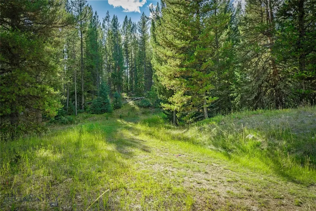 Nhn Skywood Road Big Sky MT 59716