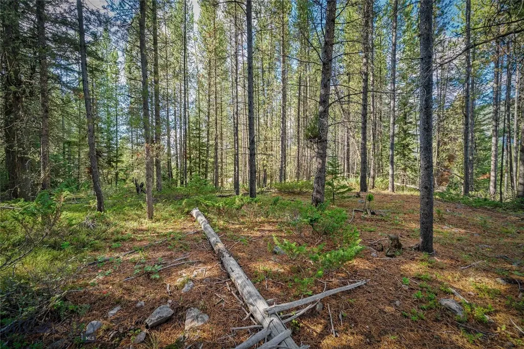 Nhn Skywood Road Big Sky MT 59716