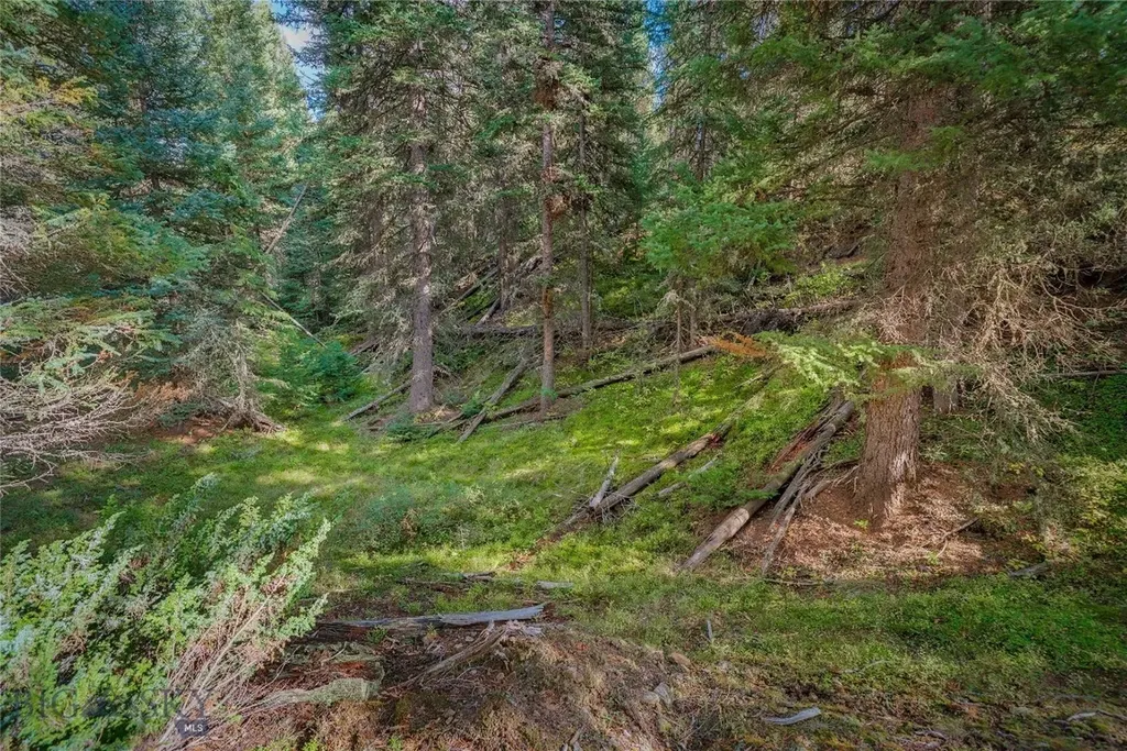 Nhn Skywood Road Big Sky MT 59716