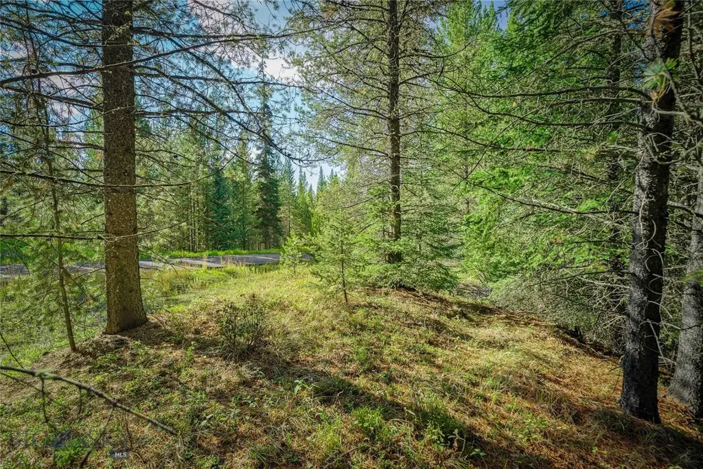 Nhn Skywood Road Big Sky MT 59716