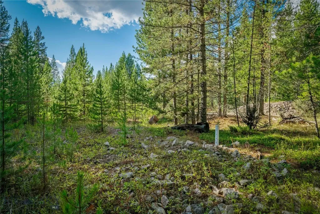 Nhn Skywood Road Big Sky MT 59716