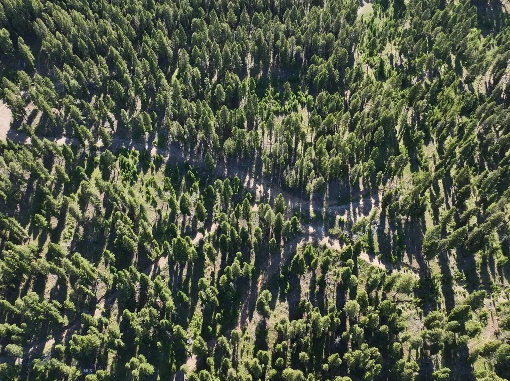 Tbd A Chimney Lakes Road Helmville MT 59843