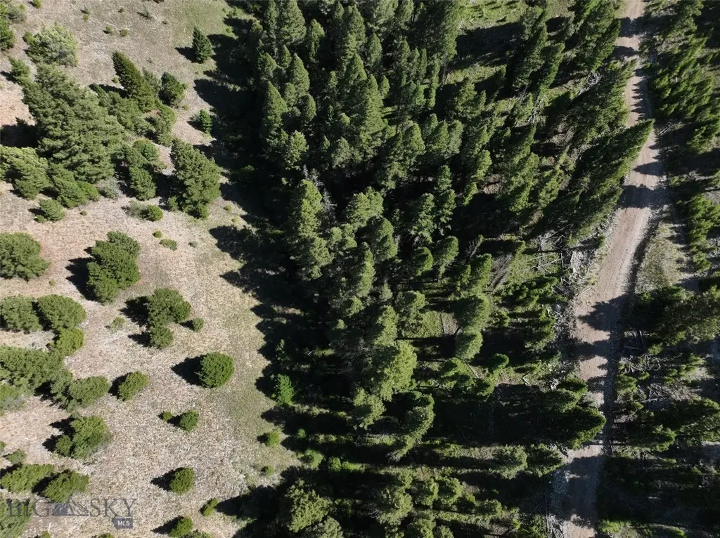 Tbd A Chimney Lakes Road Helmville MT 59843