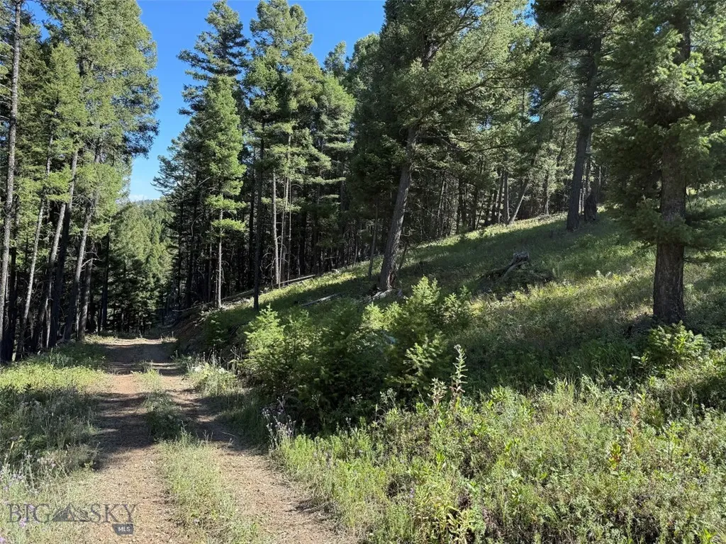 Tbd A Chimney Lakes Road Helmville MT 59843