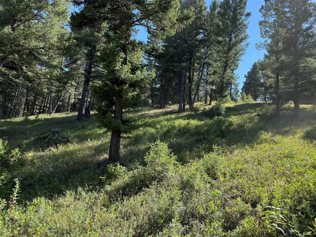 Tbd A Chimney Lakes Road Helmville MT 59843