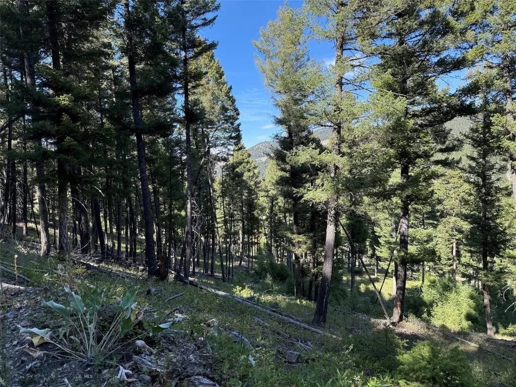 Tbd A Chimney Lakes Road Helmville MT 59843