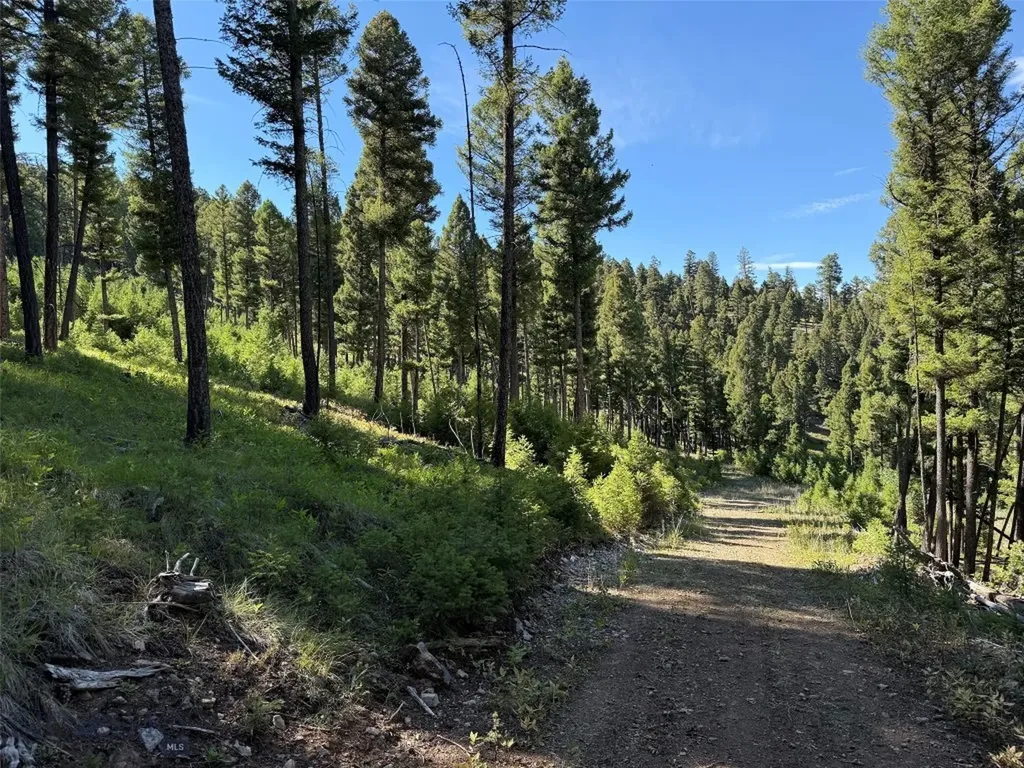 Tbd A Chimney Lakes Road Helmville MT 59843