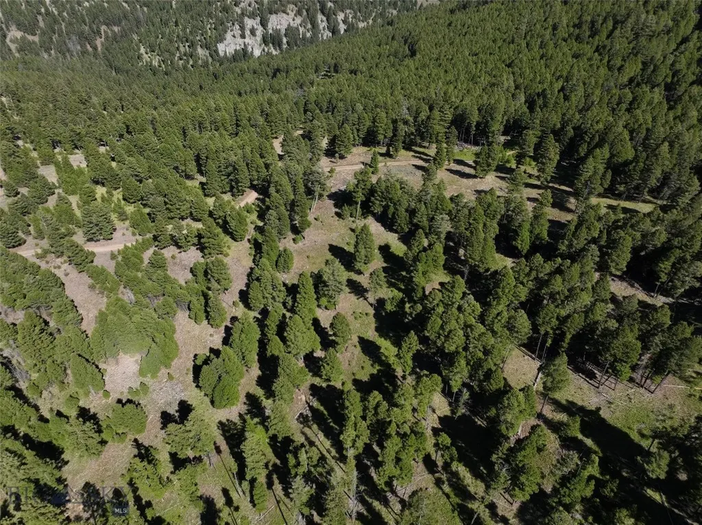 Tbd A Chimney Lakes Road Helmville MT 59843