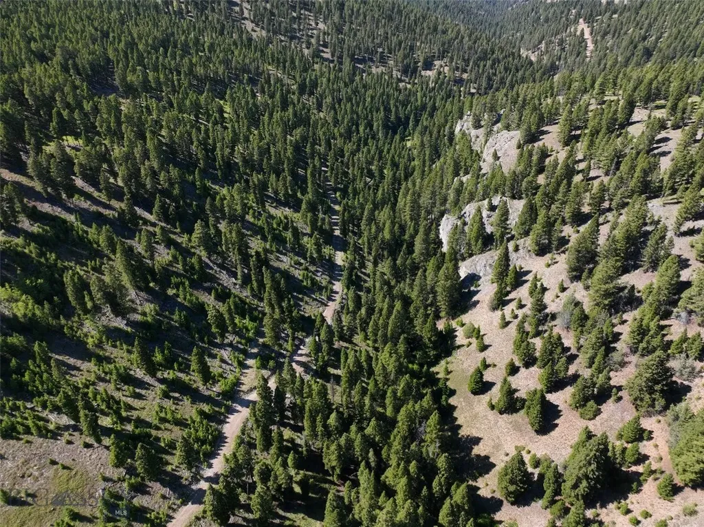 Tbd A Chimney Lakes Road Helmville MT 59843