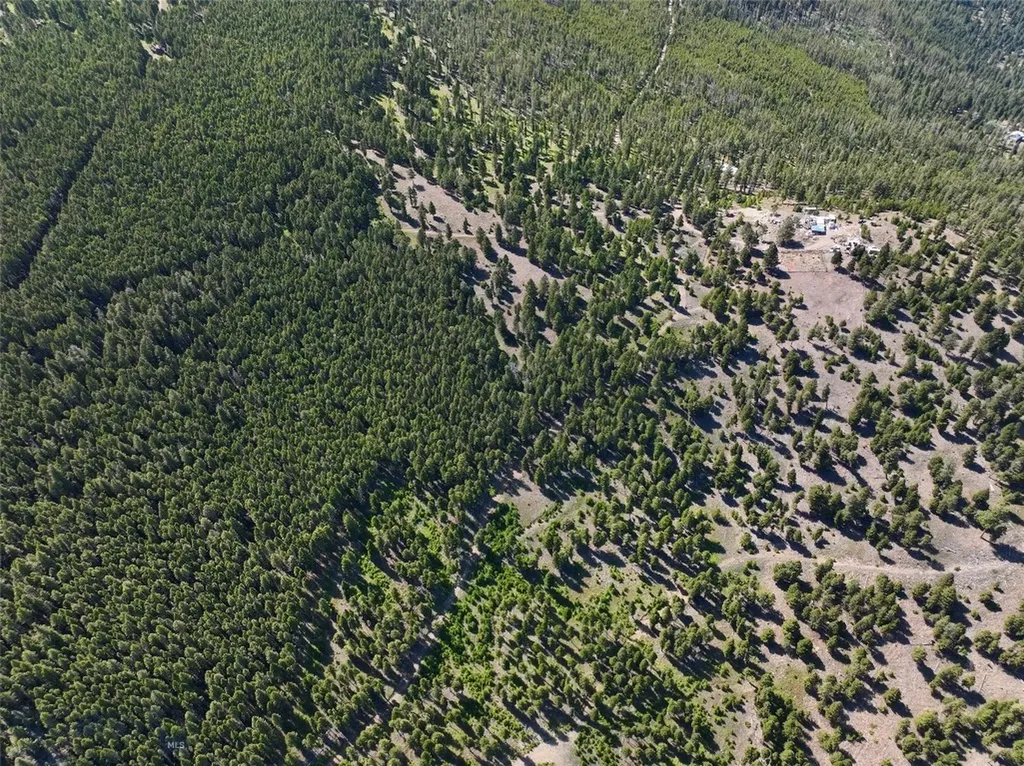 Tbd A Chimney Lakes Road Helmville MT 59843