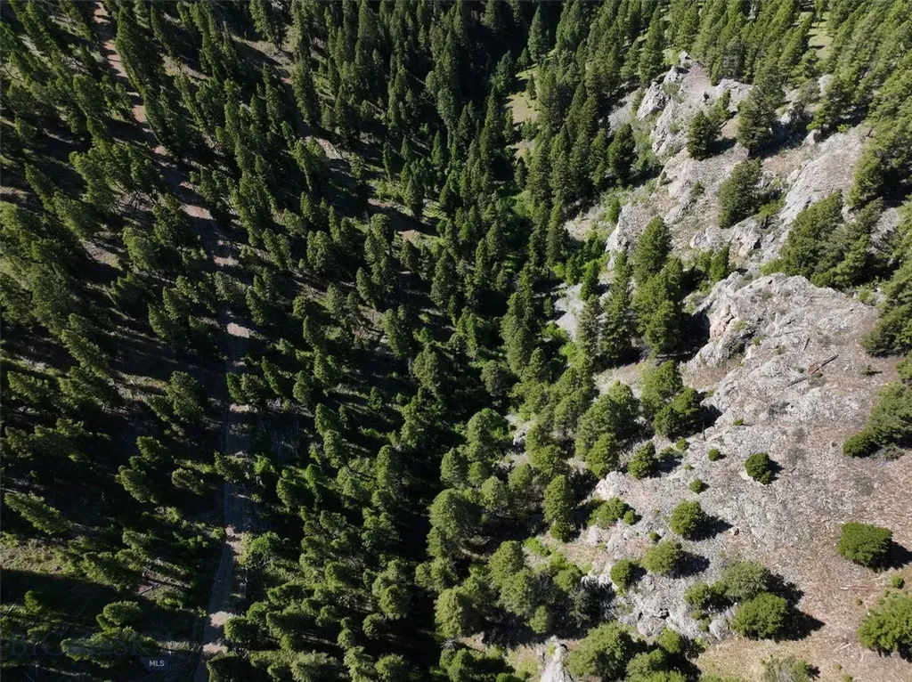 Tbd A Chimney Lakes Road Helmville MT 59843