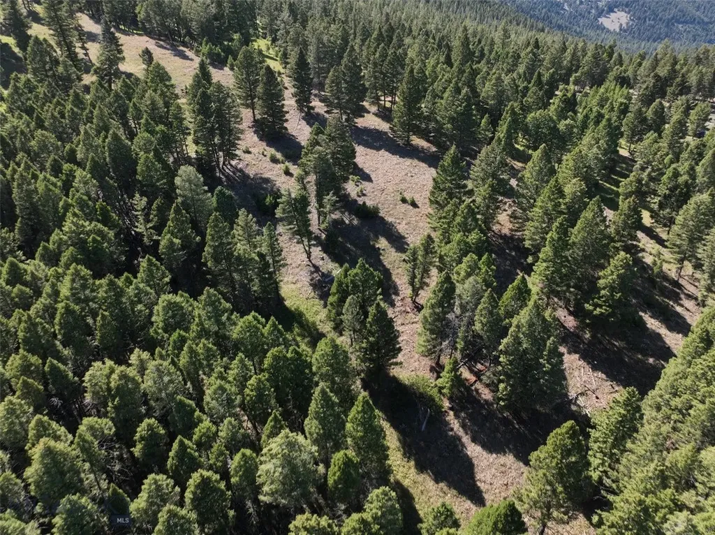 Tbd A Chimney Lakes Road Helmville MT 59843