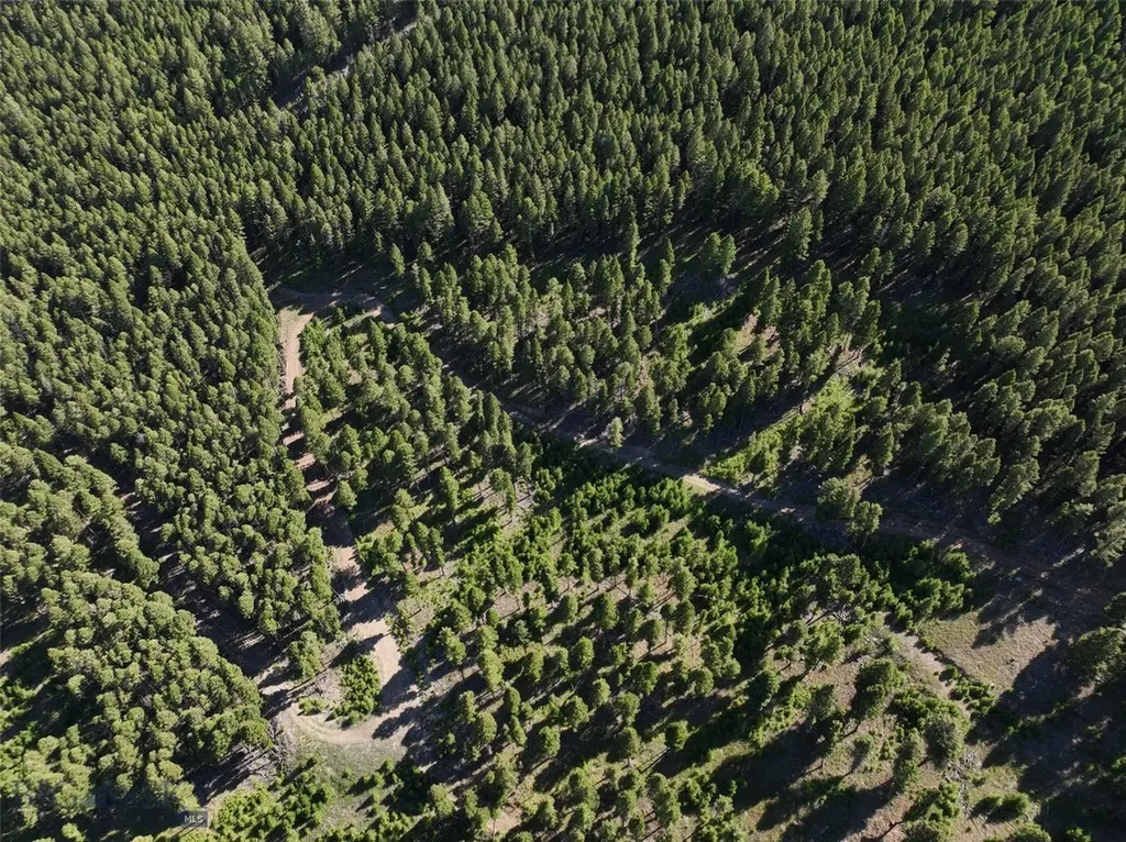 Tbd A Chimney Lakes Road Helmville MT 59843